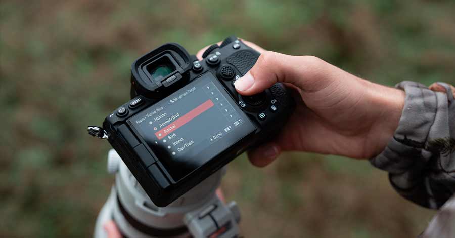 Pessoa segurando uma câmera fotográfica profissional, ajustando o modo de foco automático no visor, com opções de detecção para humanos, animais, pássaros, insetos e trens.